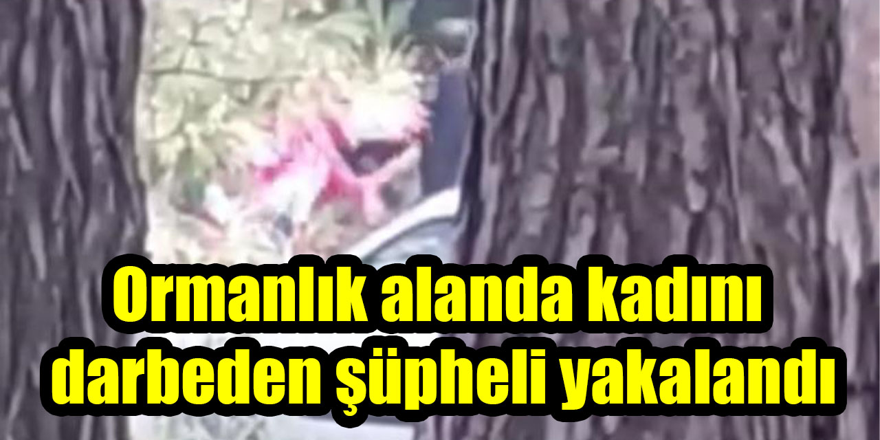 Ormanlık alanda kadını darbeden şüpheli yakalandı