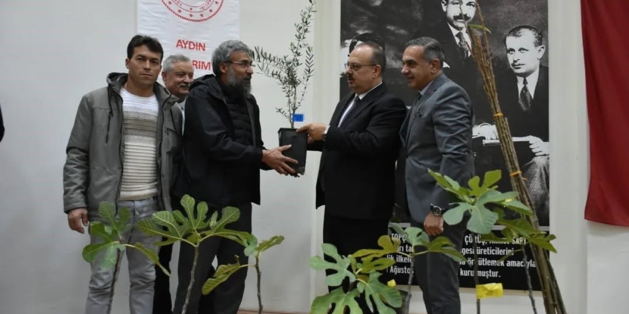 Aydın’da üreticilere 74 bin 90 fide dağıtılacak