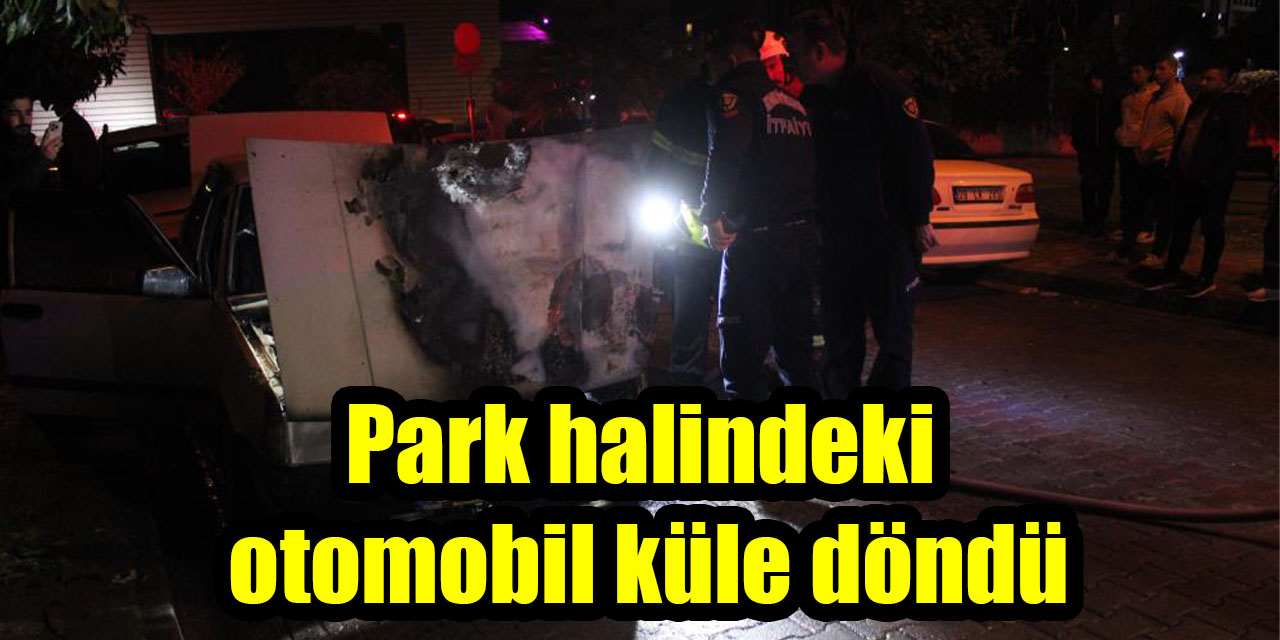 Park halindeki otomobil küle döndü