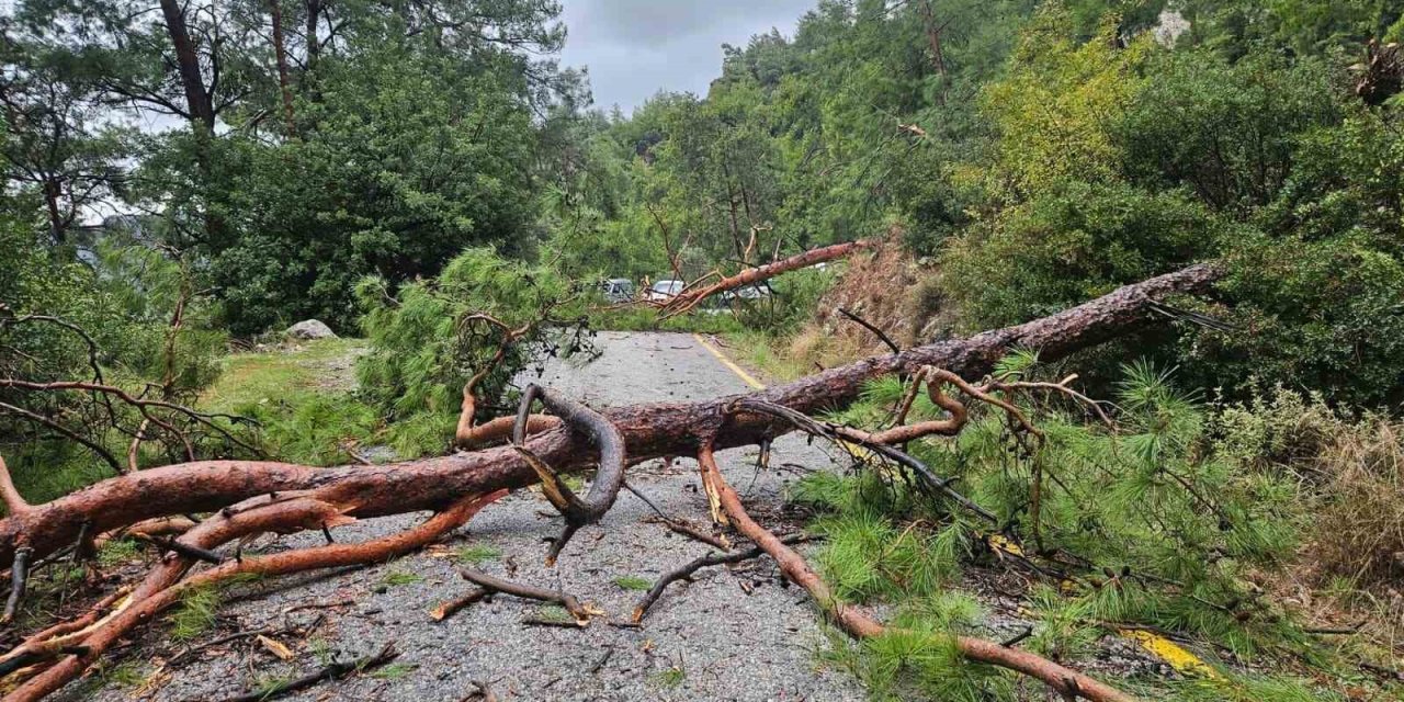 Menteşe Akbük’te şiddetli yağış ve rüzgar etkili oldu