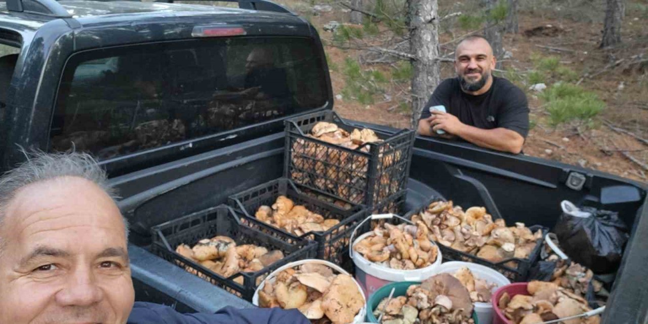 Çameli’de cintar bereketi