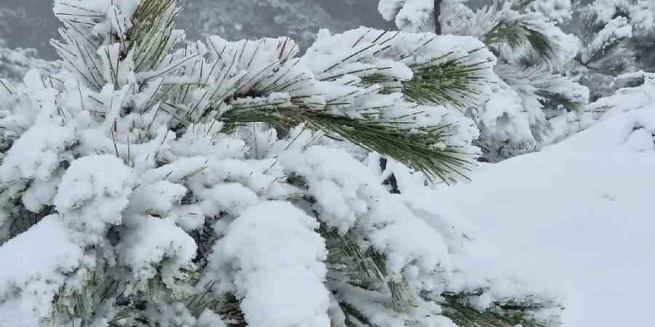 Muğla’ya mevsimin ilk karı yağdı