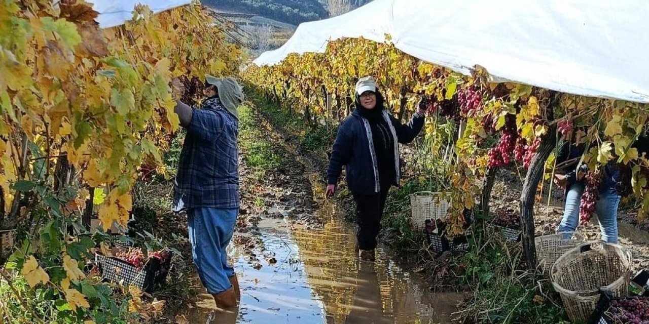 İşçiler yağmur ve çamuru aldırış etmeden üretime devam ediyor
