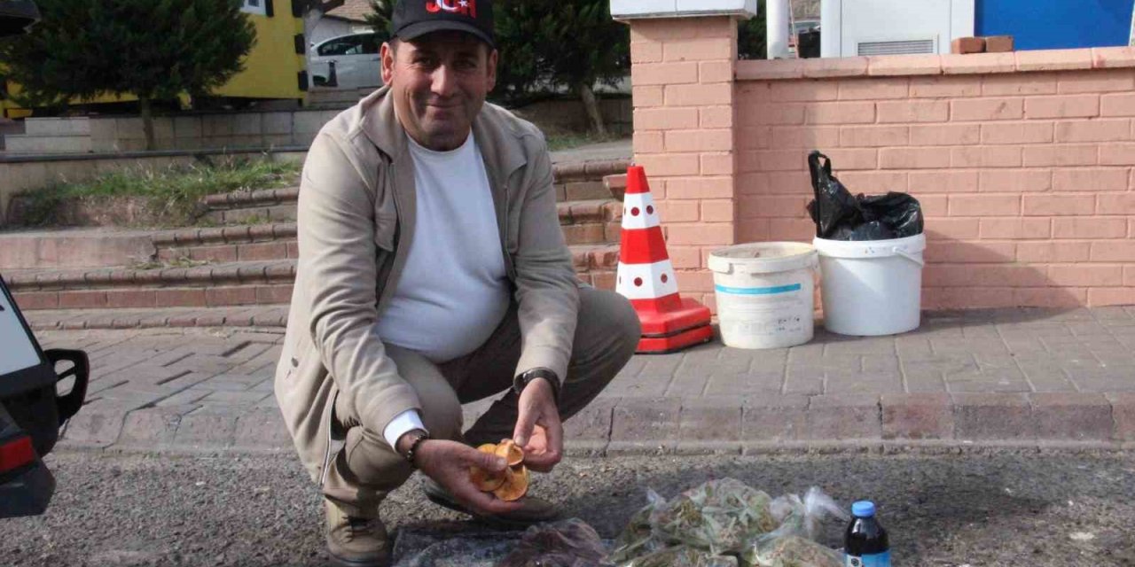 Lezzeti cezbediyor, toplaması dikkat istiyor