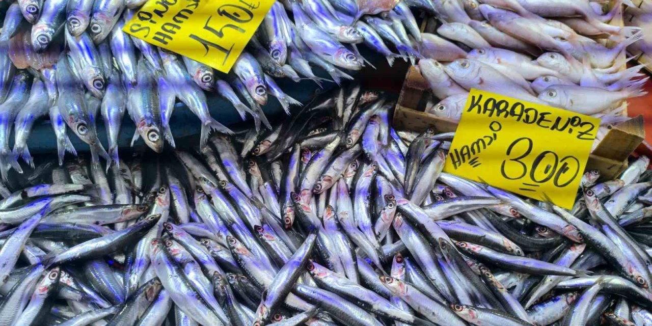 Havaların soğumasıyla balık tezgahlarında alışverişler hızlandı