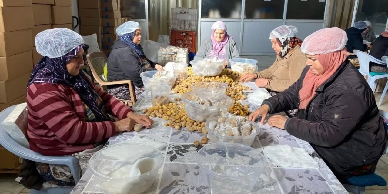 Türkiye’nin yüzde 33’ünü karşılayan Aydın Kestanesi, ihracata hazırlanıyor