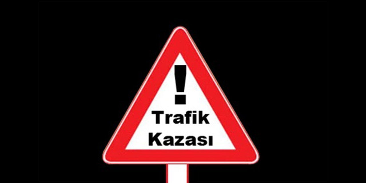 Takla atan otomobil sürücüsü yaralandı