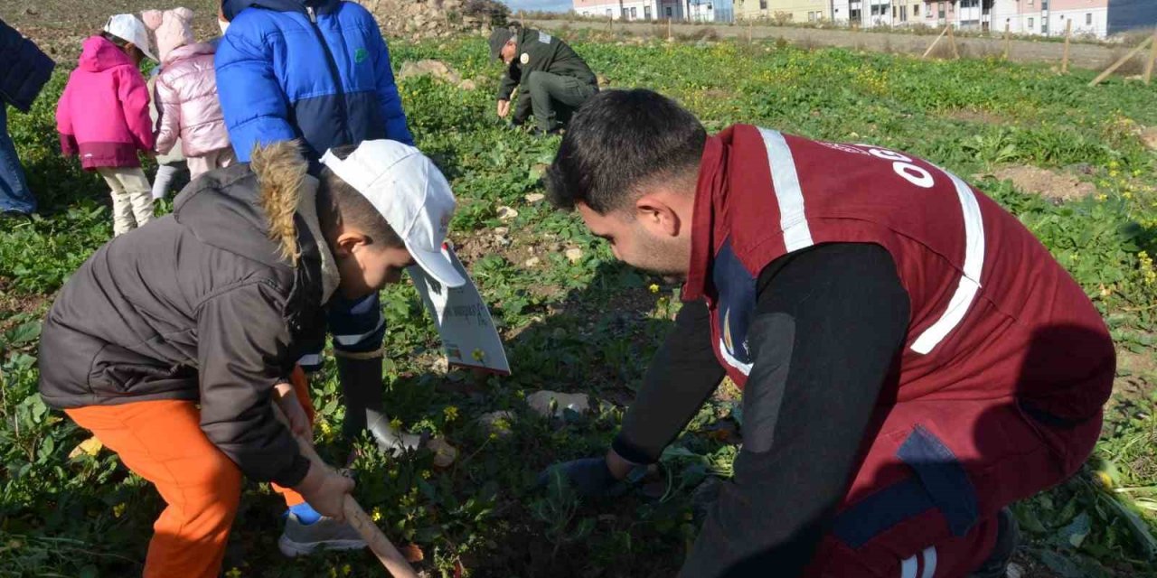 Manisa’da yanan alanlara 100 bininci fidan dikildi