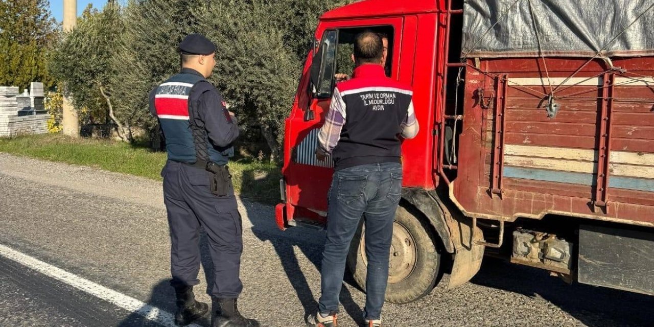 Bozdoğan’da ilçe tarım ve jandarmadan yol denetimi