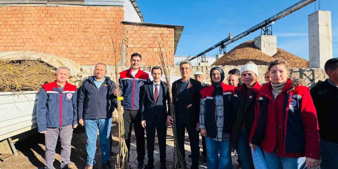Bozdoğan’da 8 bin 700 adet fidan dağıtıldı