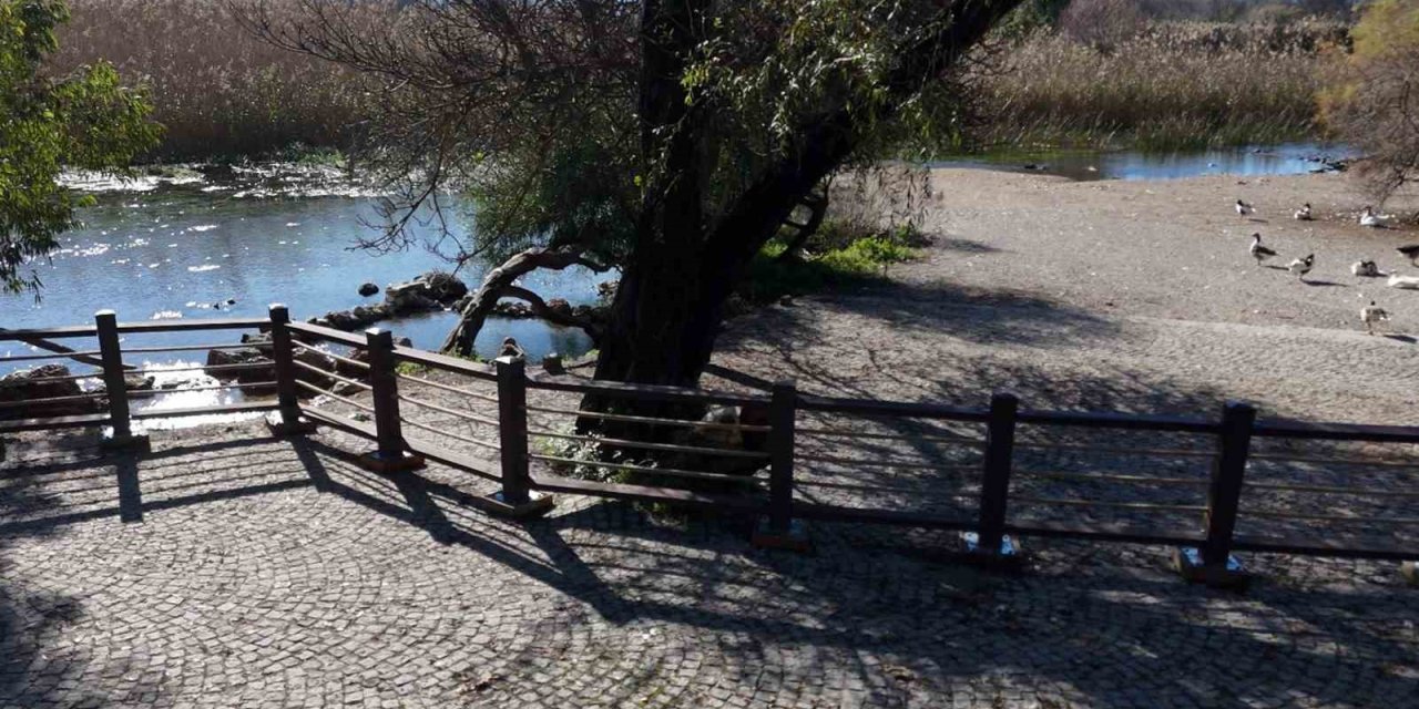 Akyaka Kadın Azmağında doğal dokuyu koruyan çalışma tamamlandı
