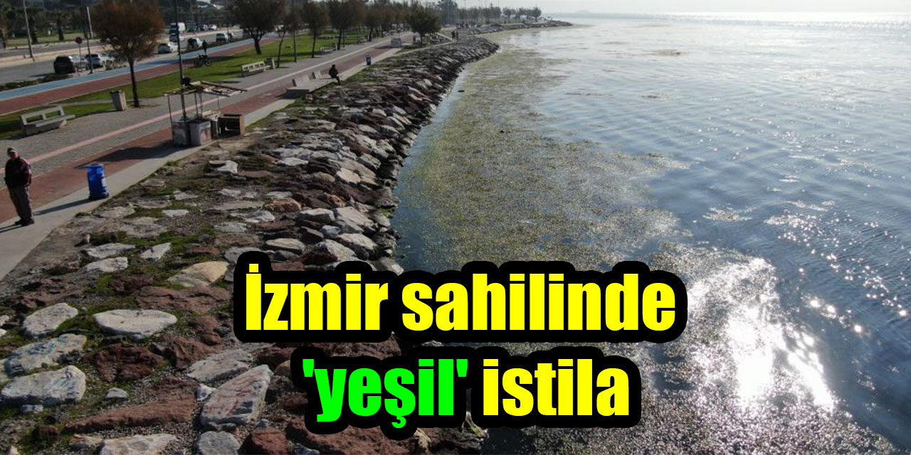İzmir sahilinde ’yeşil’ istila