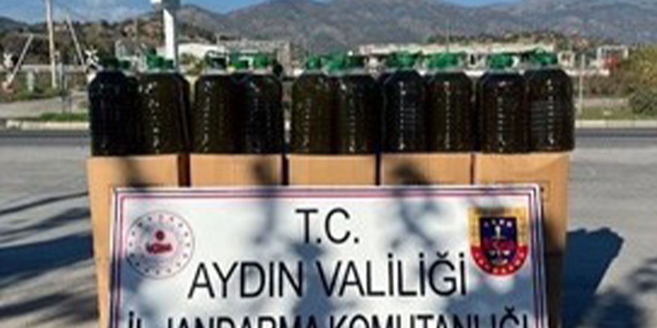 Aydın’dan Malatya’ya gönderilen araçta 500 kilo sahte zeytinyağı ele geçirildi