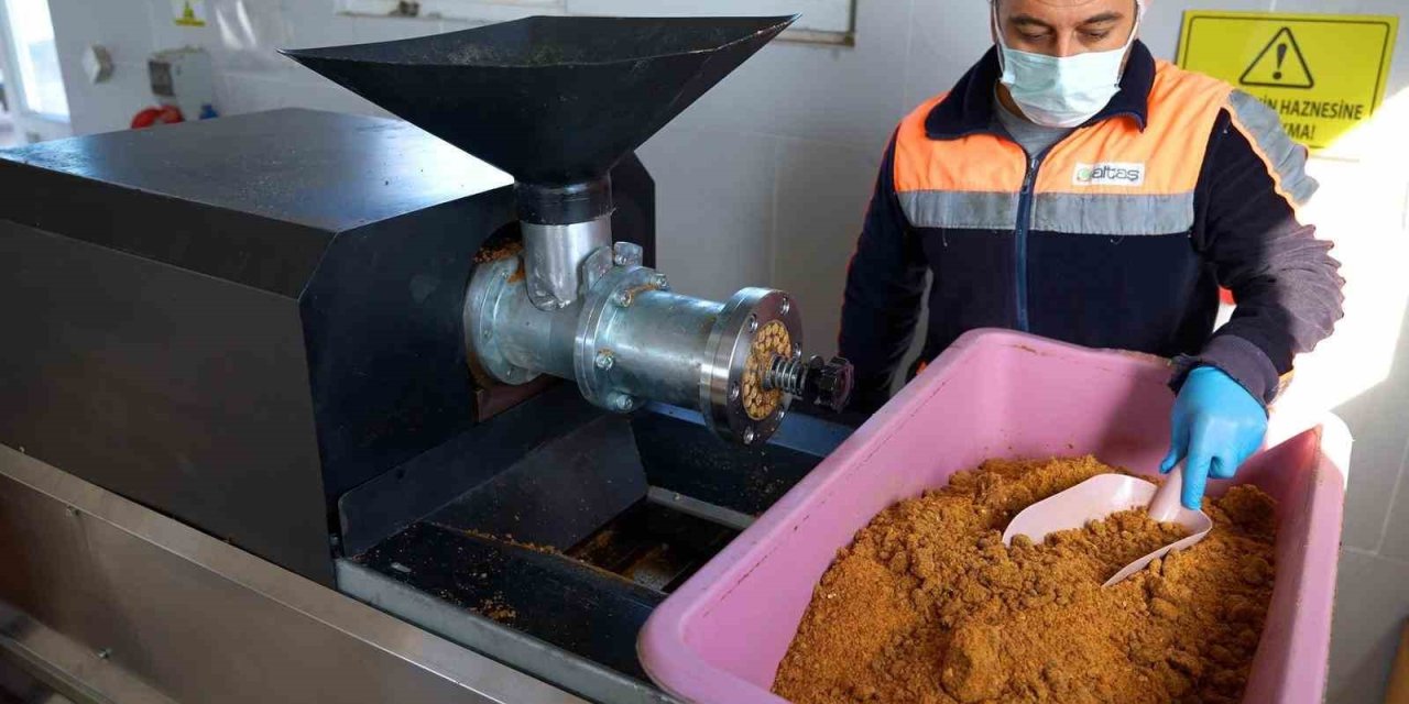 Didim’de her geri dönüşüm, can dostlara umut olacak