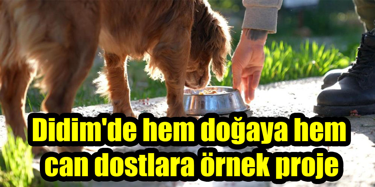 Didim'de hem doğaya hem can dostlara örnek proje