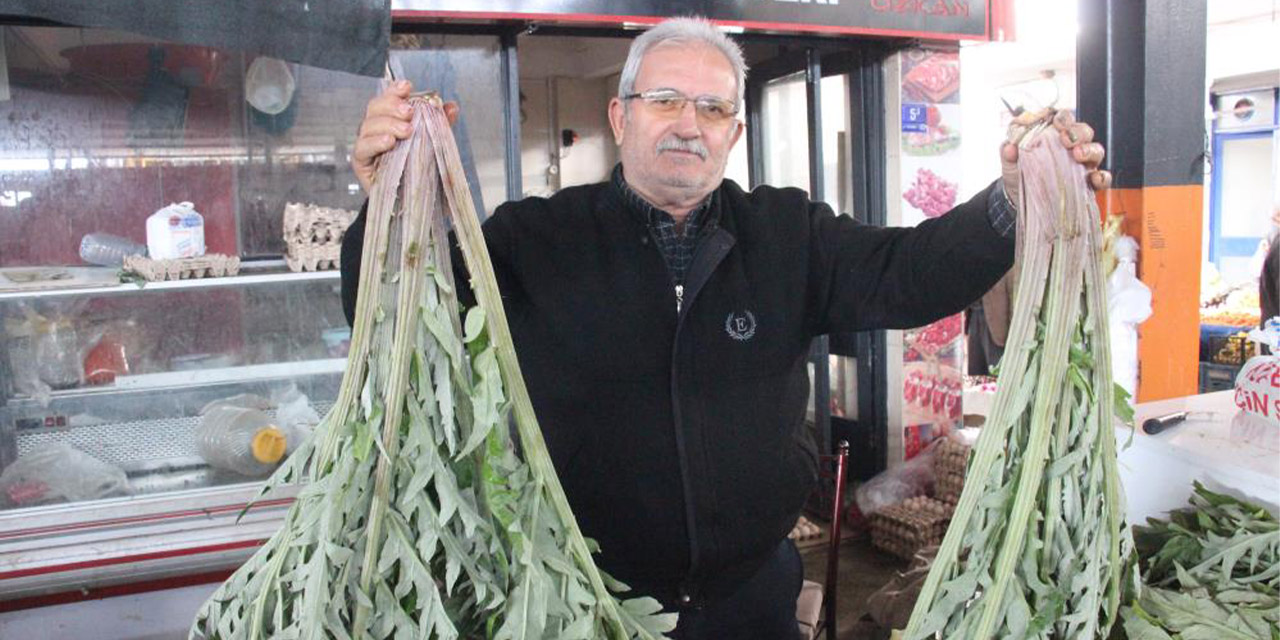 Karaciğer dostu enginar pazarda yoğun ilgi görüyor