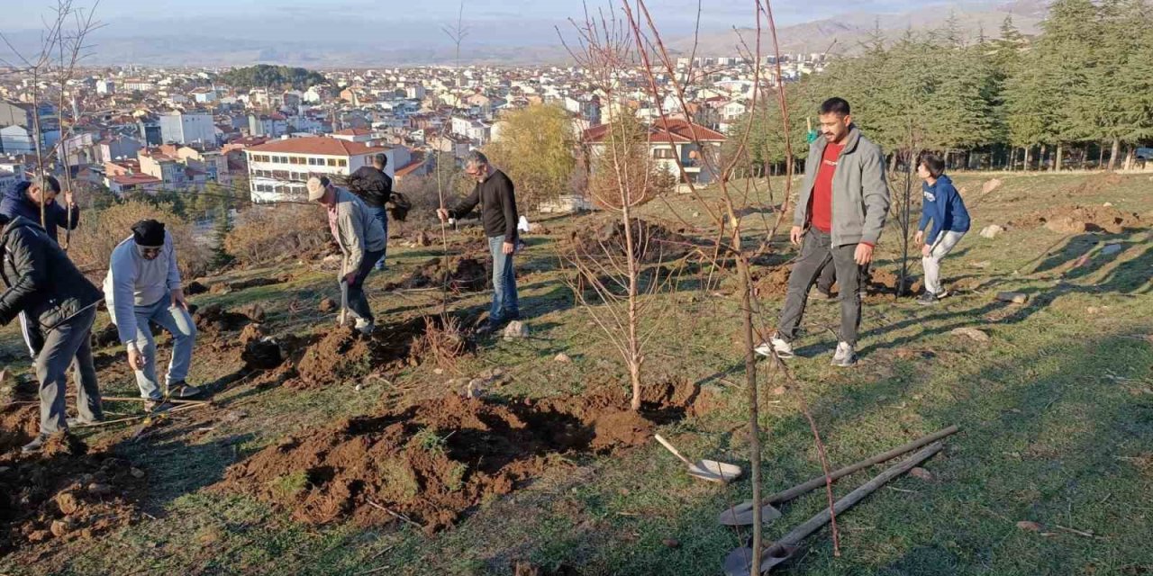 Sandıklılı yarenler badem fidan dikti