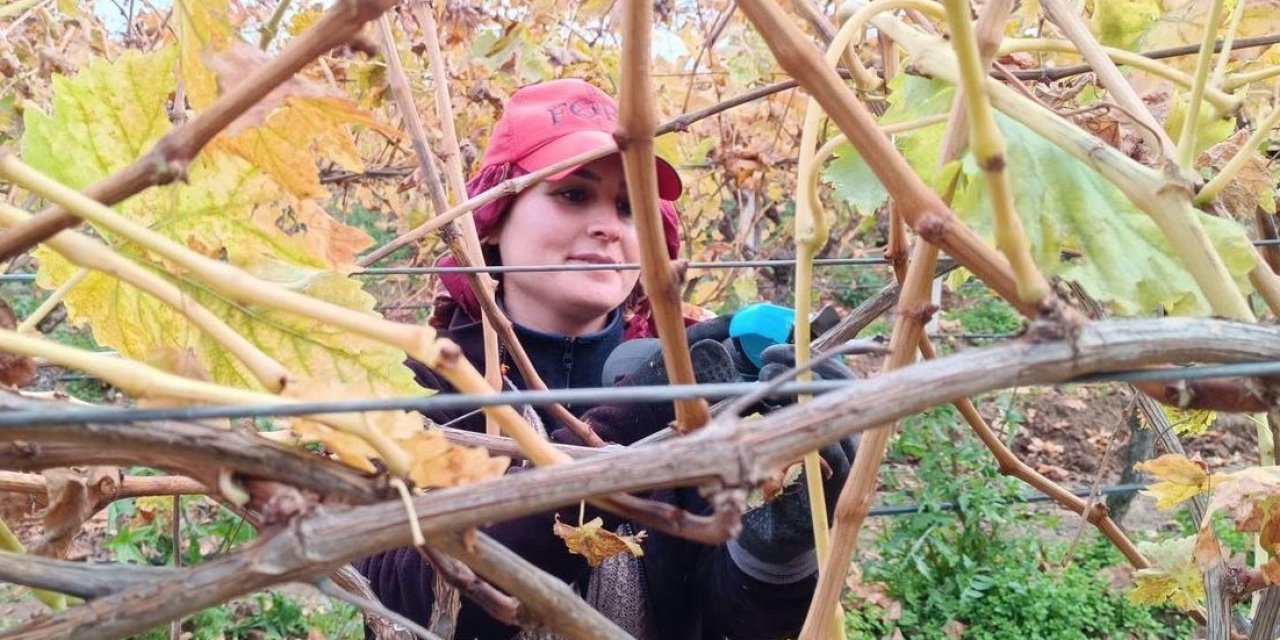 Budama maliyeti üreticiyi ailece bağa indirdi