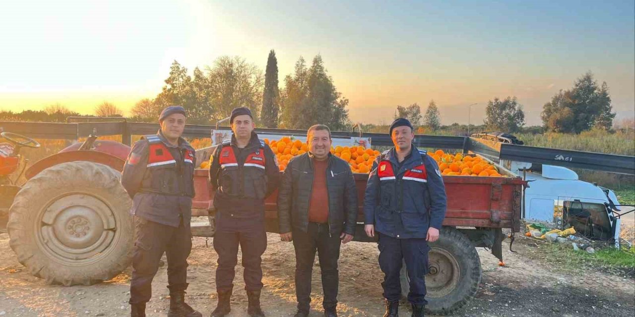 Nazilli’de 1,5 tonluk portakal hırsızlığı jandarmaya takıldı