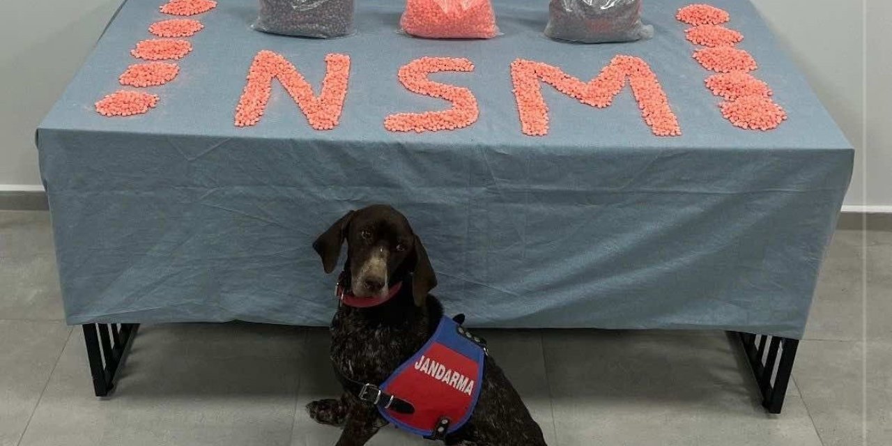 Denizli’de jandarma narkotik ekipleri zehir tacirlerine göz açtırmıyor