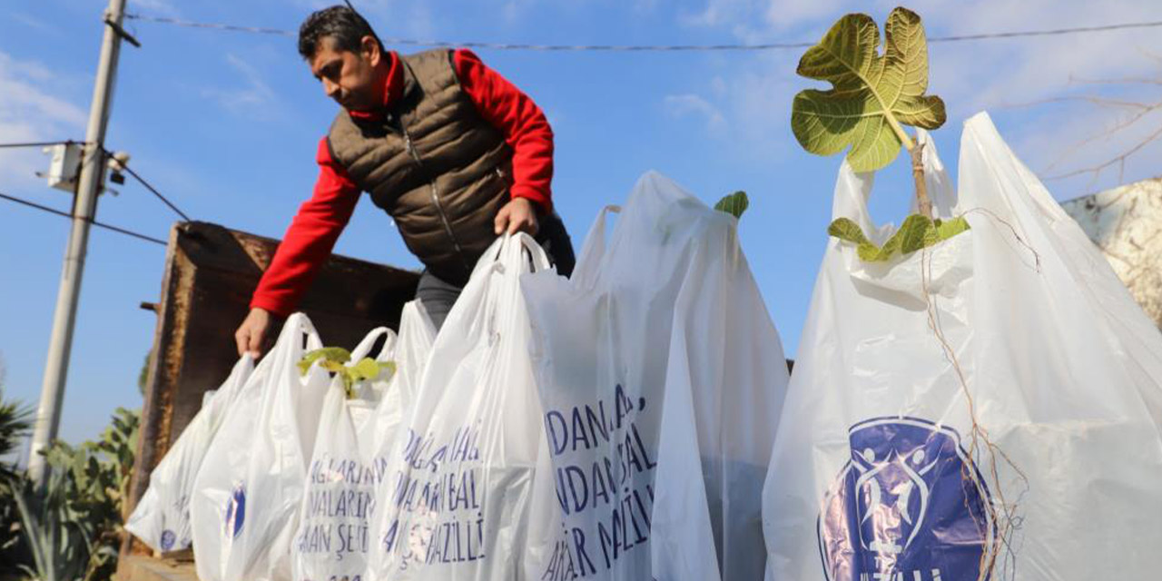 Nazilli’de 5 bin fidan  toprakla buluştu