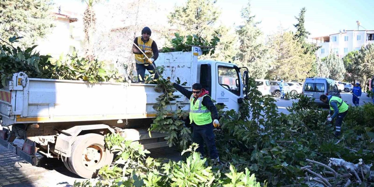 Büyükşehir ekiplerinden Didim’de kapsamlı çevre temizliği