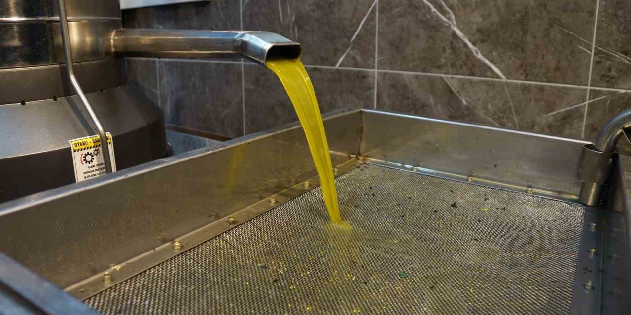 Zeytinyağı fiyatları belli oldu, fiyatlarda artış yaşandı