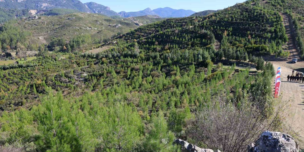 Kara tablo, 6 yılda yeşil örtüye dönüştü