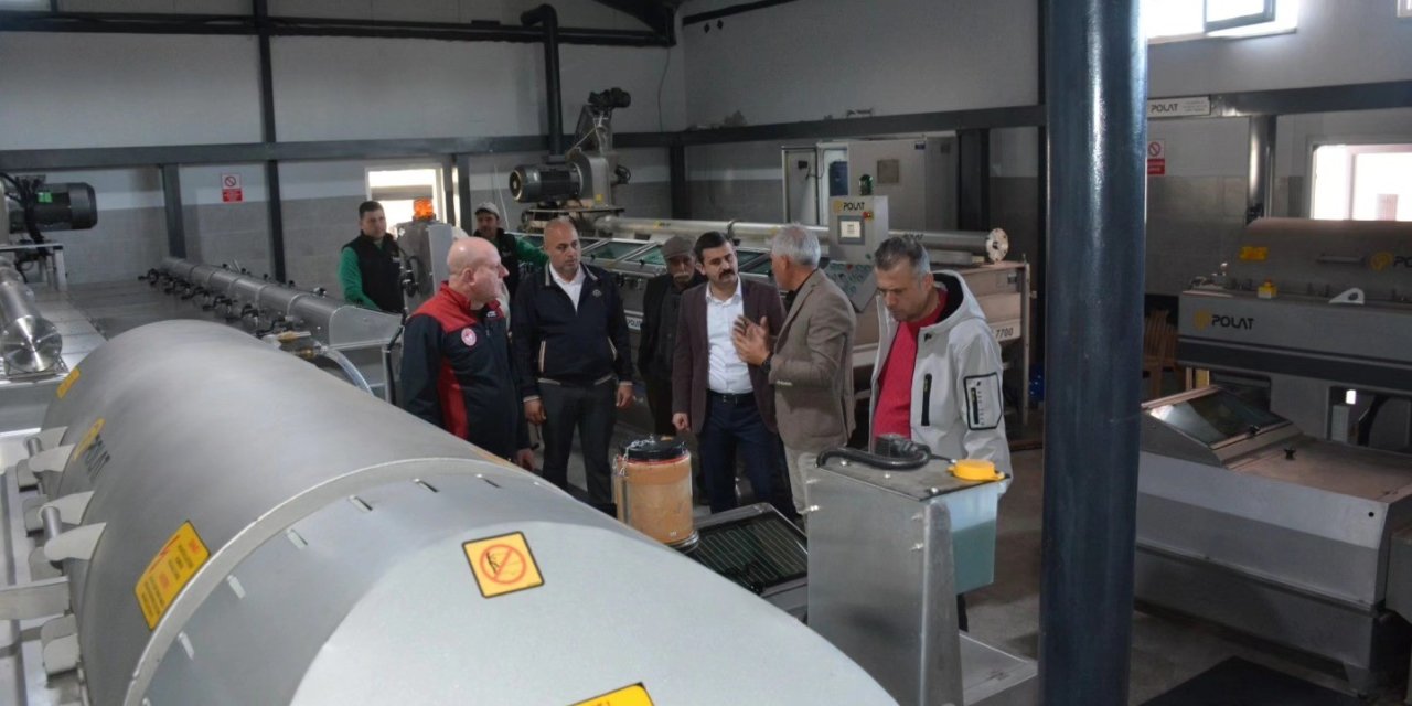 Köyceğiz Kaymakamı Kumcu, zeytinyağı fabrikasında inceleme yaptı