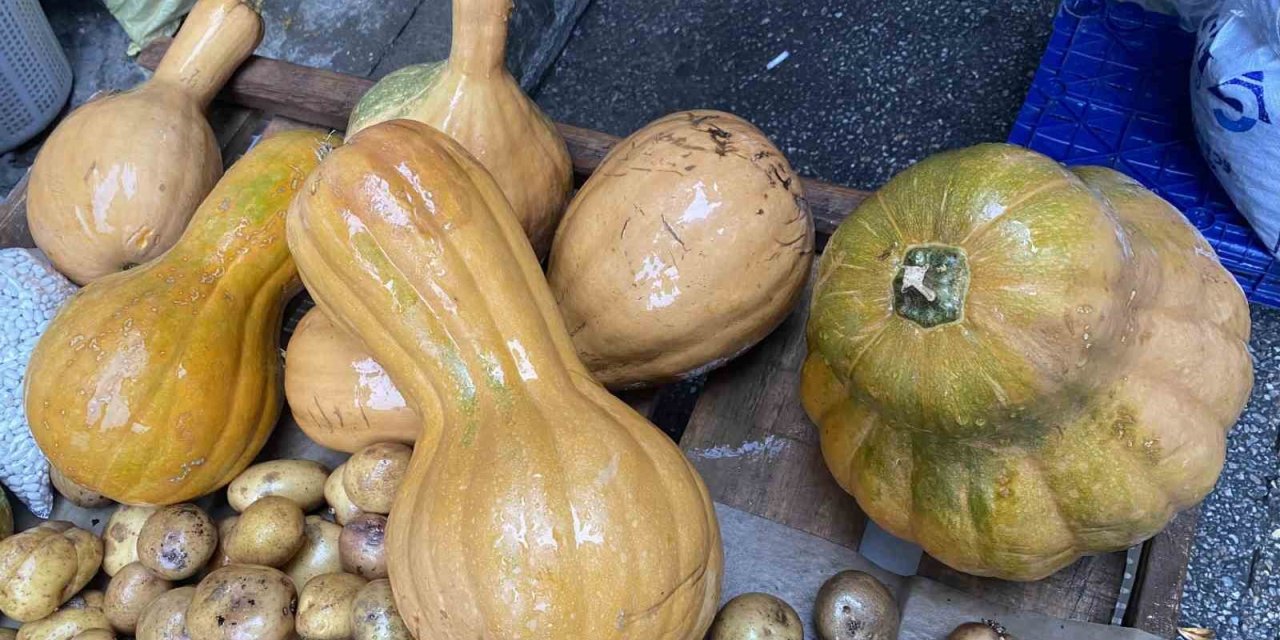 Kendisi ayrı, çekirdeği ayrı şifa kaynağı