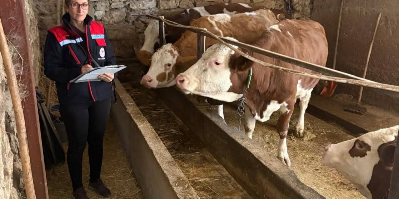 Hibe desteğiyle hayvancılık yapan besicilere yönelik denetim