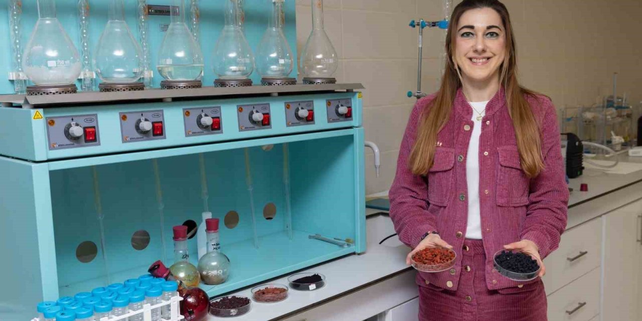 Kırmızı-mor meyvelerden fonksiyonel gıda ürünü
