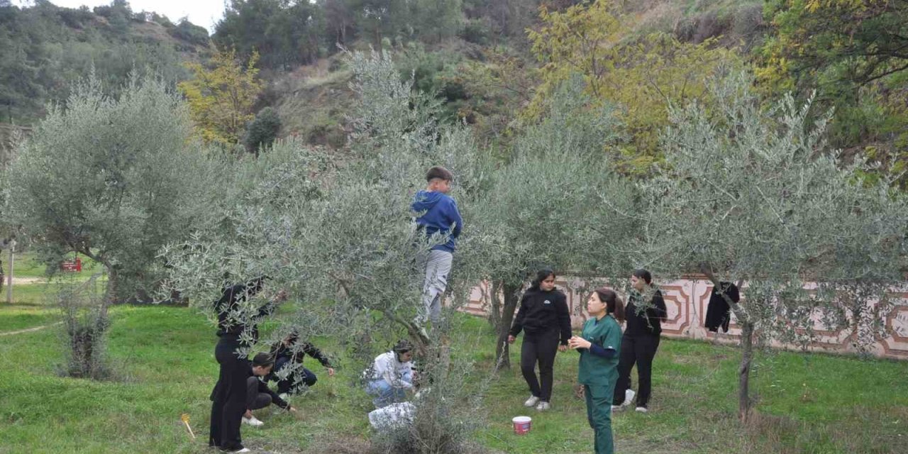 Manisa’da "Zeytin 5.0 Projesiyle" çocuklar hem öğrendi hem üretti