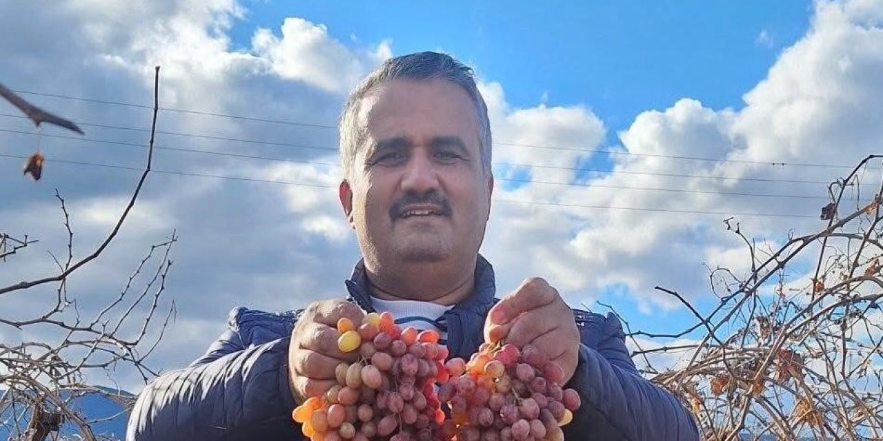 Soğuğa dayanıklı kazancı yüksek