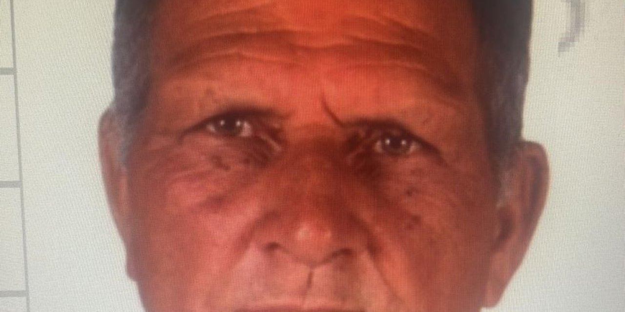 Milas’ta mantar ararken kaybolan 70 yaşındaki adamı arama çalışmaları sürüyor