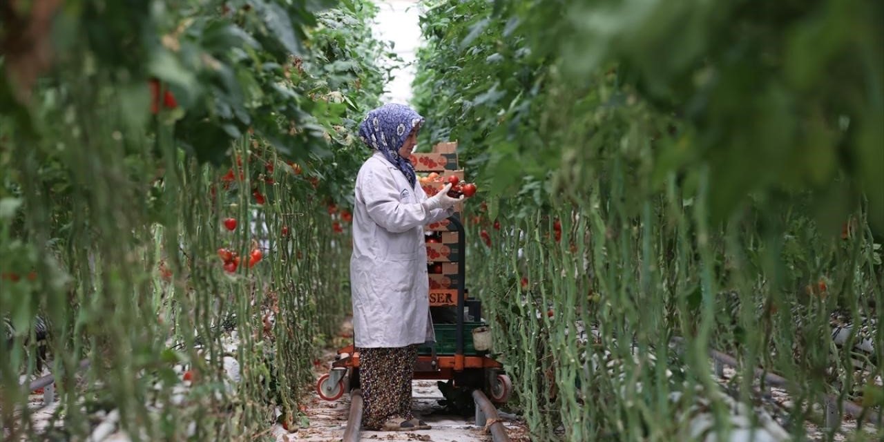 Jeotermal, 2025’te yatırım uykusundan uyandı