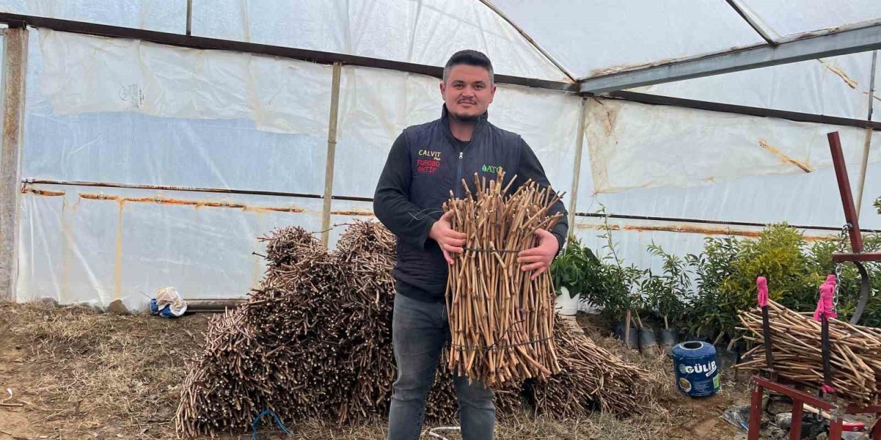 Genç kardeşlerden Sarıgöl ekonomisine 700 bin fidan hamlesi