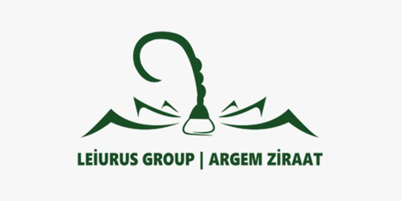 Yapıların ötesinde bir vizyon: Mimarlıkta kalıcı değer üretmek