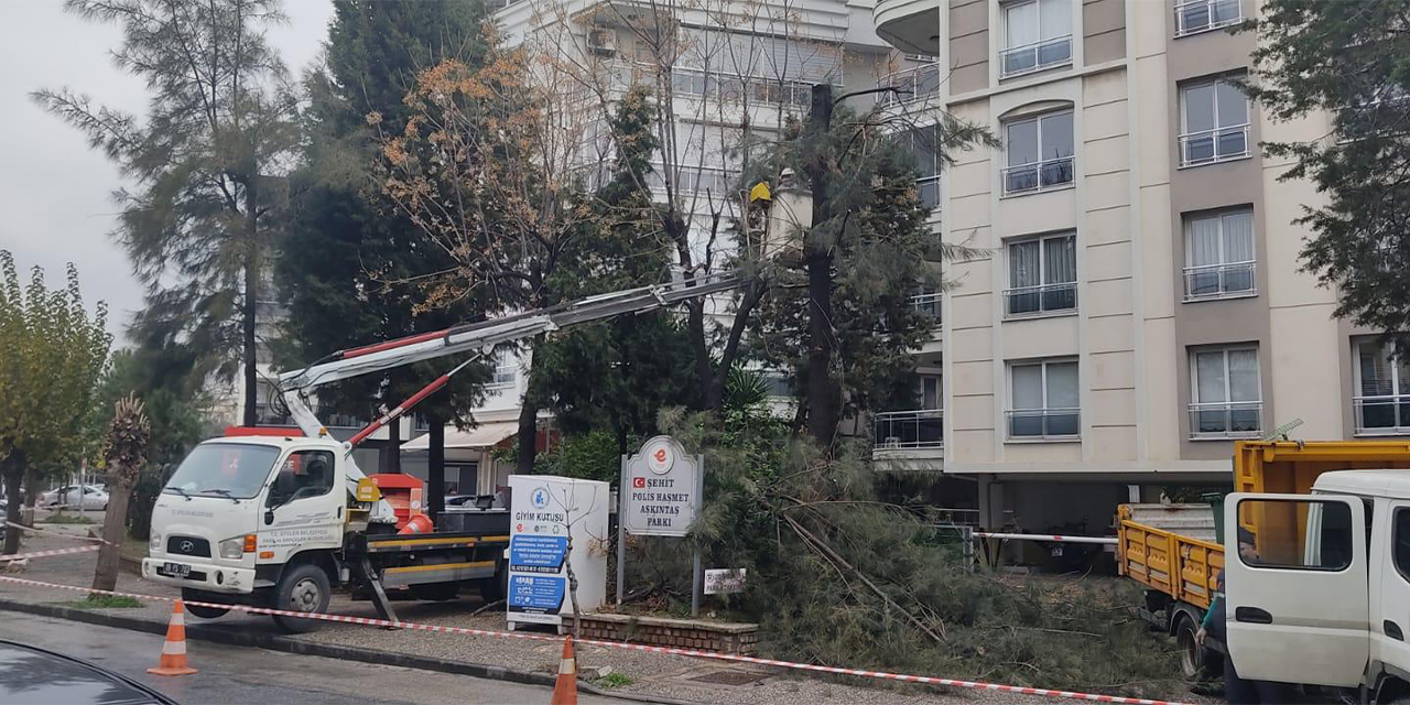 Efeler Belediyesi olası risklerin önüne geçiyor