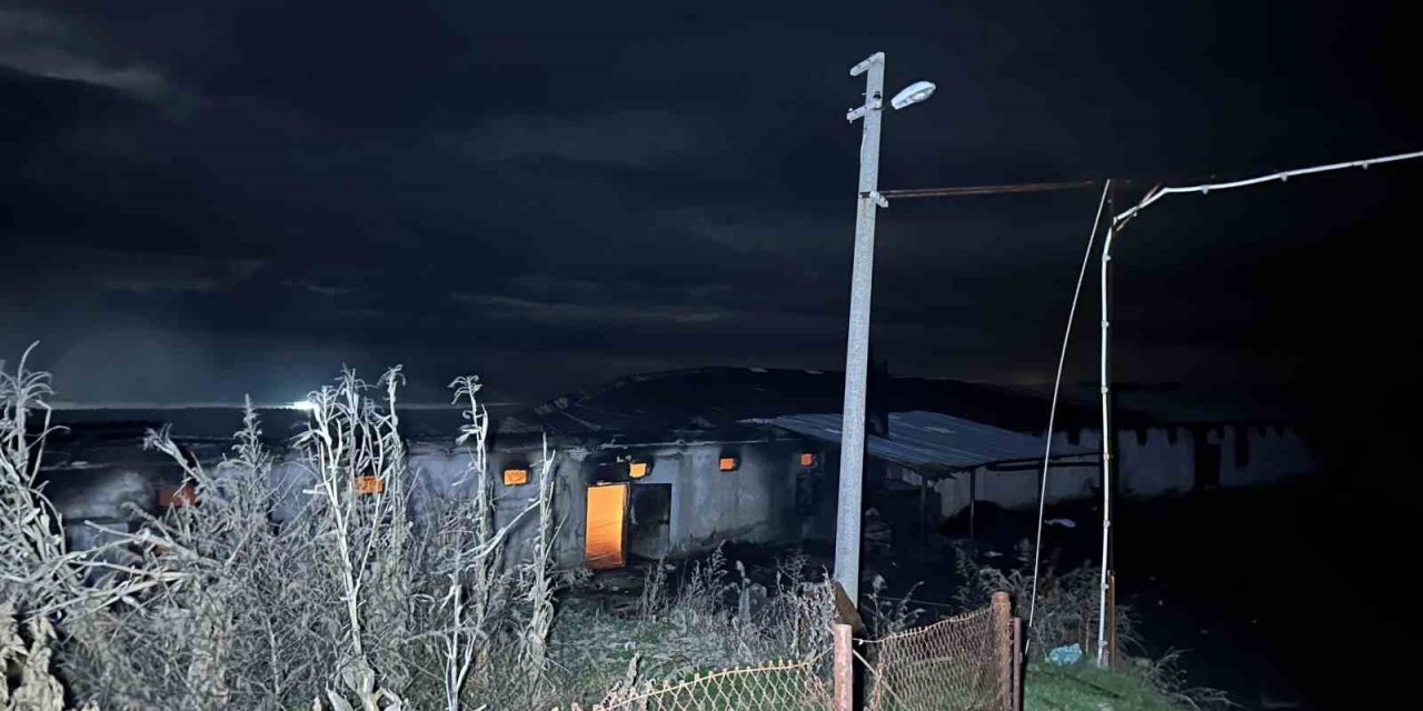 Uşak’ta boş tavuk çiftliğinde çıkan yangın korkuttu