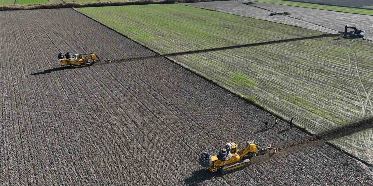 Aydın’da ürünlerin verimliliği artacak