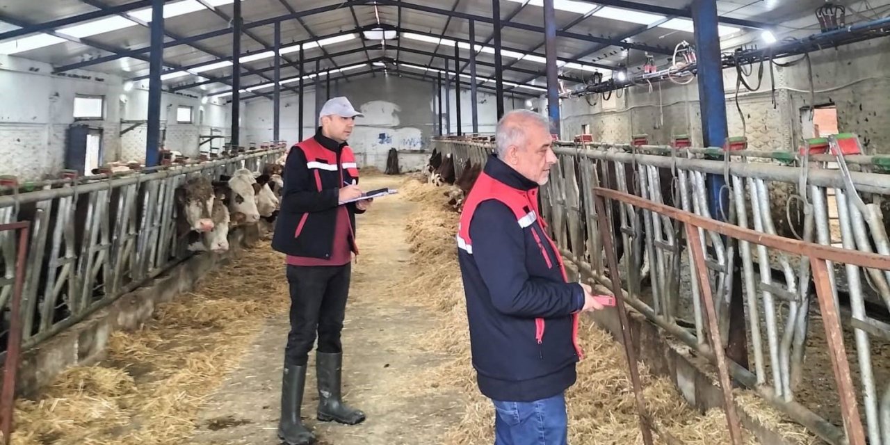 Besicilik işletmelerine yönelik ‘kapasite ölçümleri’ devam ediyor