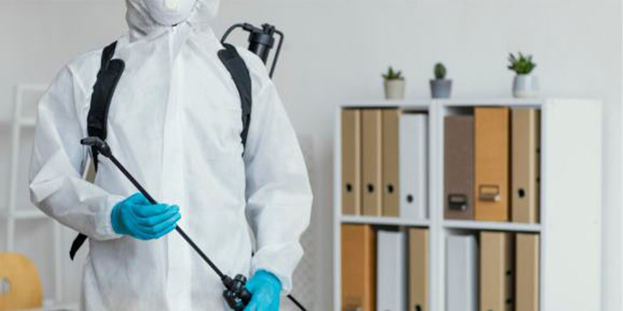 Fethiye böcek ilaçlama