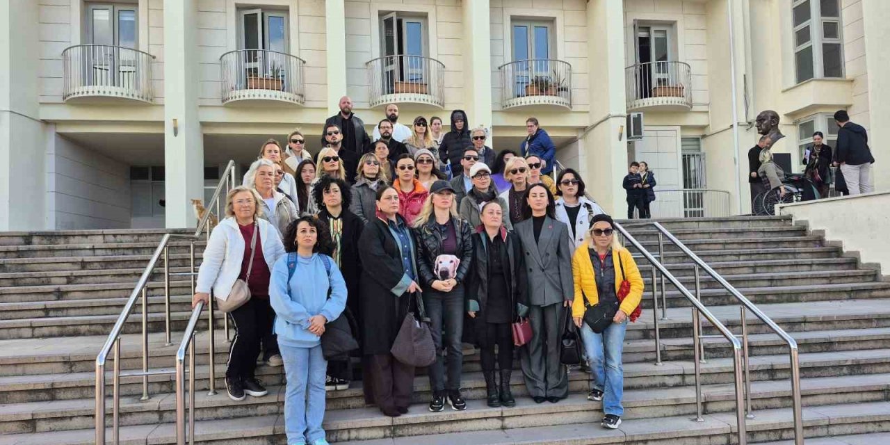 Bodrum’da "Çinko" isimli köpeğe çarpan sürücünün yargılanmasına başlandı