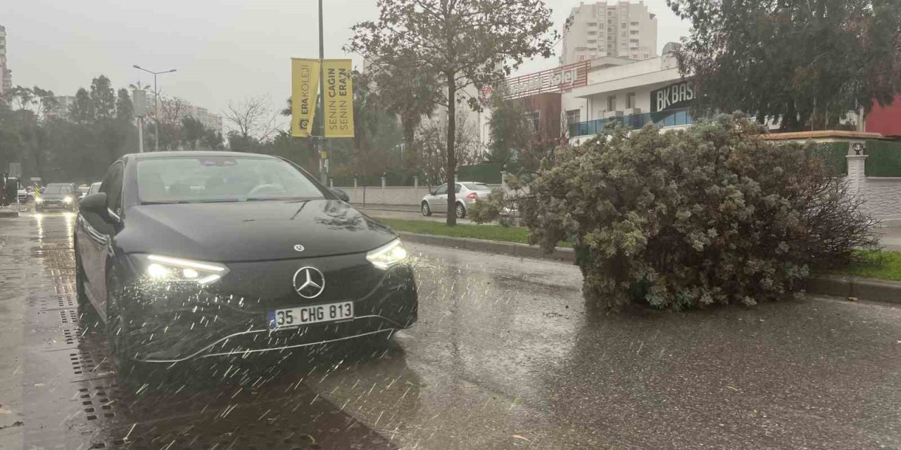 İzmir’de fırtına ağaçları devirdi: 5 araç hasar gördü
