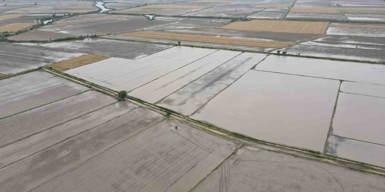 Söke’nin 2026 yılı ürün deseni belli oldu