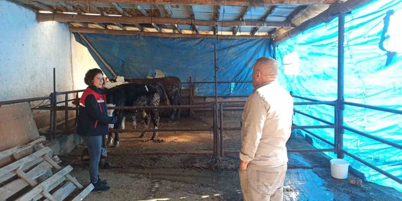 ÇMVA çalışmaları devam ediyor