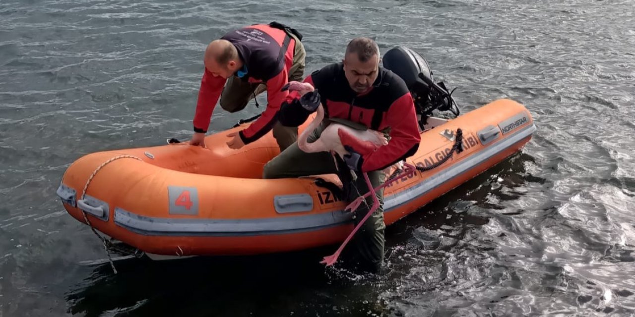 Misina tuzağından özgürlüğe