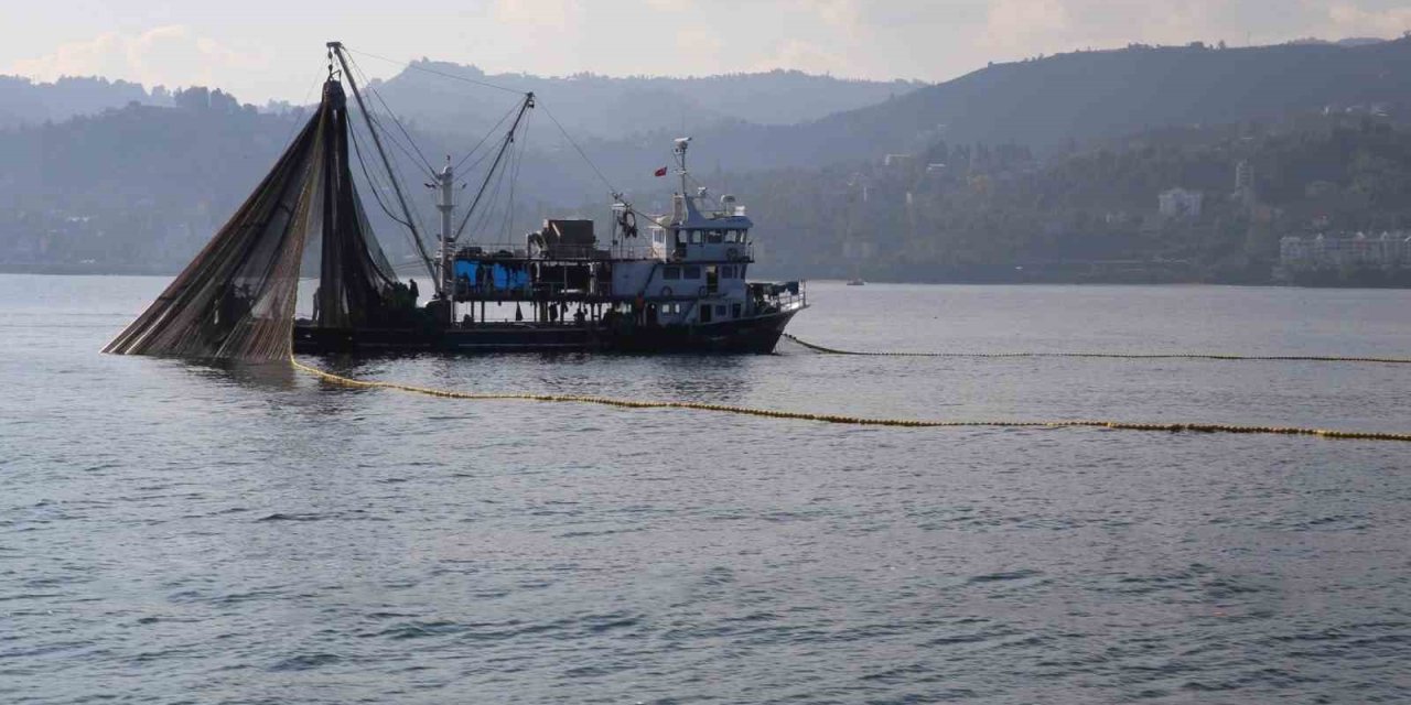 Kuşadası’nda dil ve pisi balığı avcılığına geçici yasak
