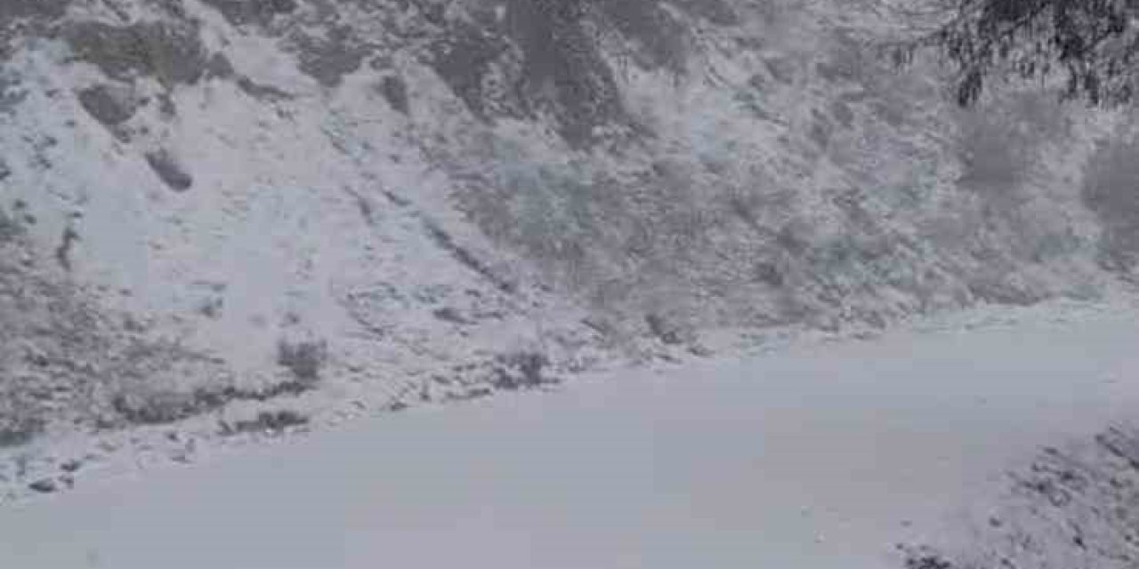 Yazın yanan orman sahası beyaza büründü